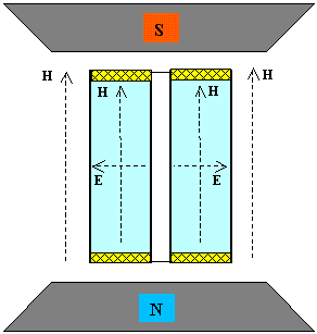 tammris.gif (4844 bytes)